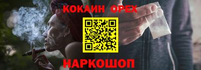 крисы Новокубанск