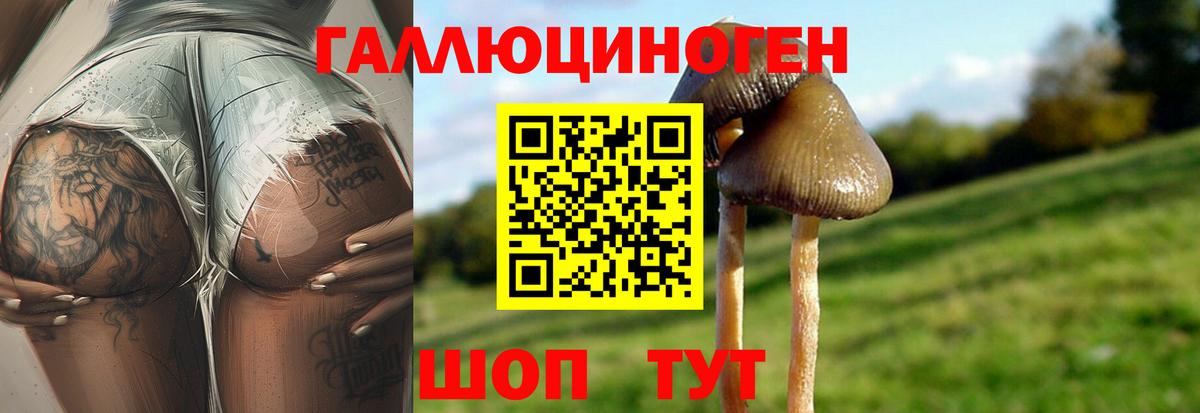 Галлюциногенные грибы ЛСД  что такое наркотик  Уссурийск  Псилоцибиновые грибы прущие грибы  Вход с VPN 